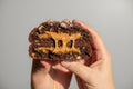 TRIPLE CHOCOLATE DULCE